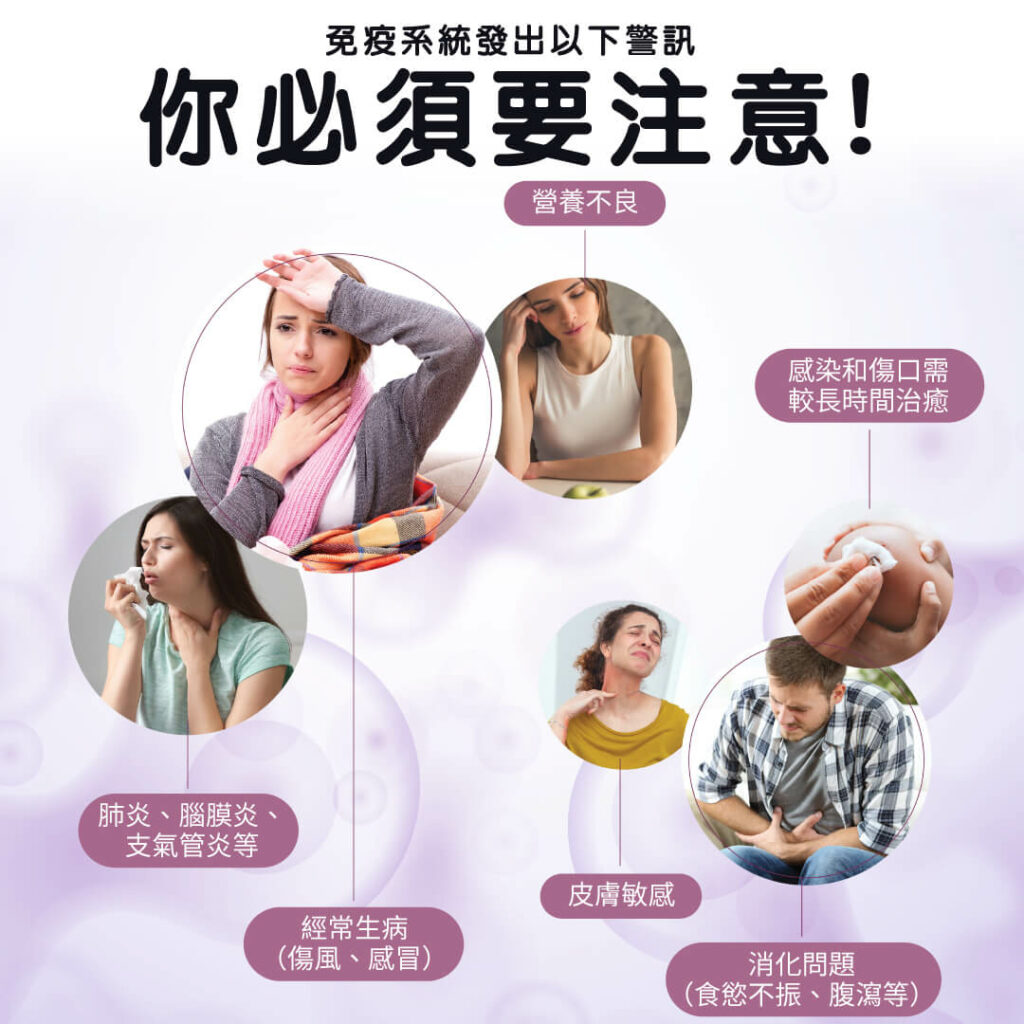  IMUGLO 護胃飲 – 唯樂健康官方網店 – 優質保健堂 Bildidee 